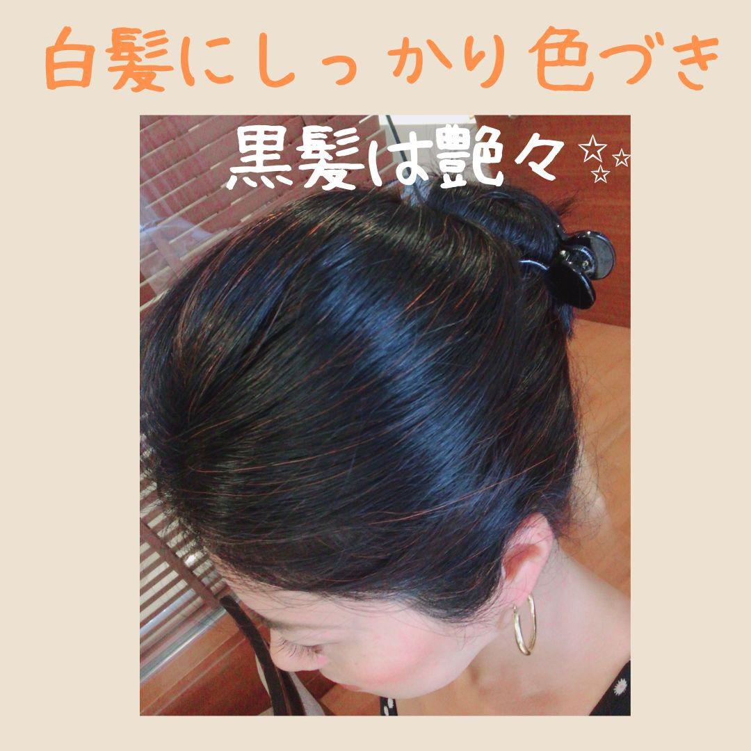 よりどり4点選べる【最高AAAランク高品質ヘナ】選べて嬉しい♪ヘナ