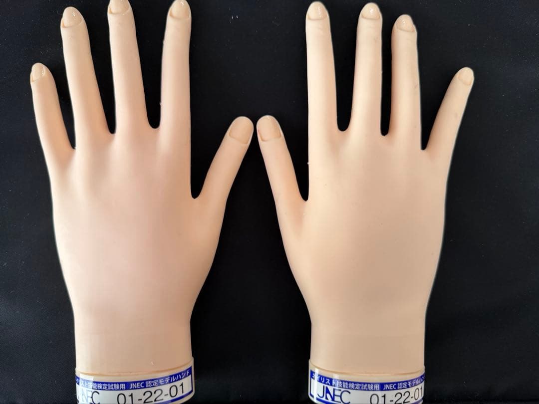 JENC認定モデルハンド 両手 - メルカリ