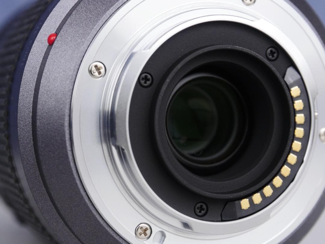 パナソニック LUMIX G VARIO 45-200mm / F4.0-5.6