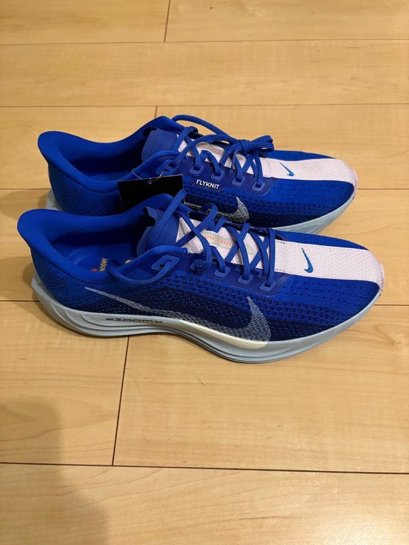 【新品未使用】NIKE ペガサスプラス 29.0cm 青