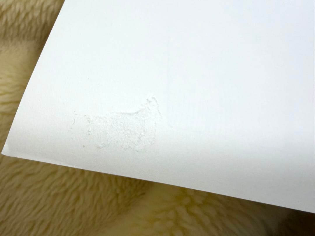 ONE PIECE 名シーン複製原稿（複製原画） 2シーンセット