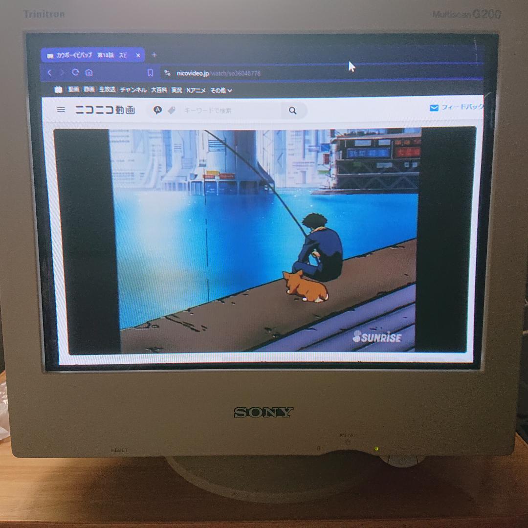 ソニー 17インチ トリニトロン ブラウン管 モニター CPD-G200J - メルカリ