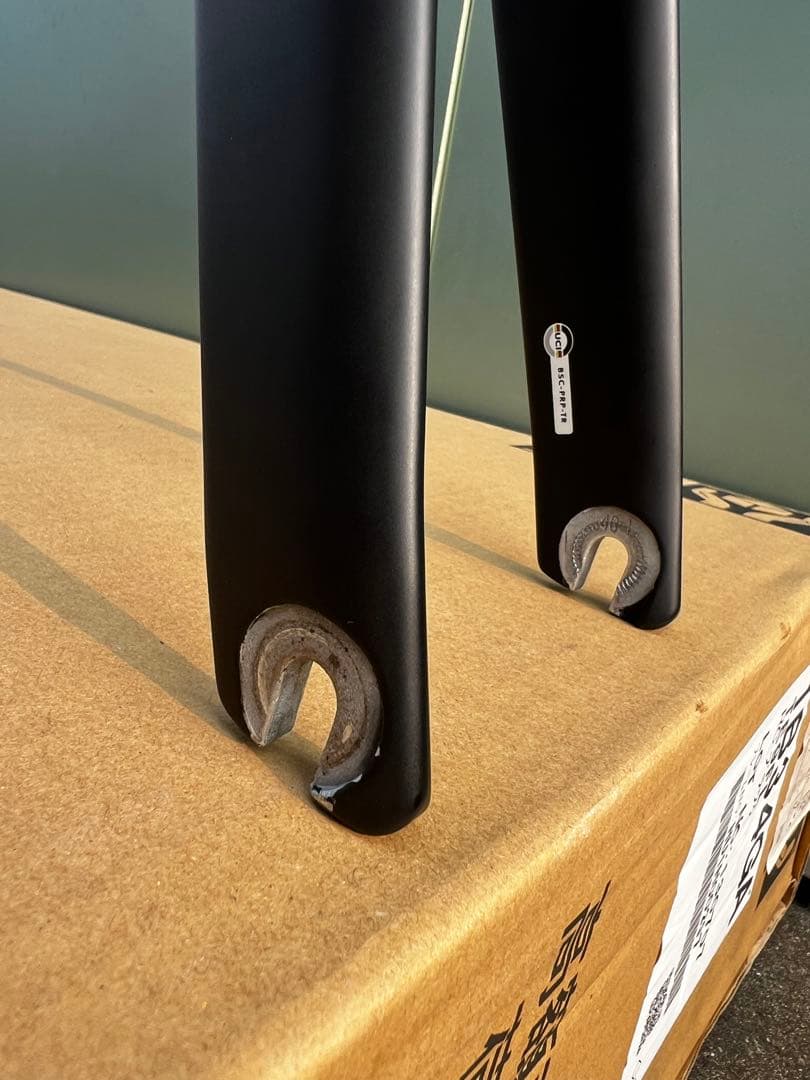 ブリヂストン カーボンフレーム TE9 Lサイズ - メルカリ