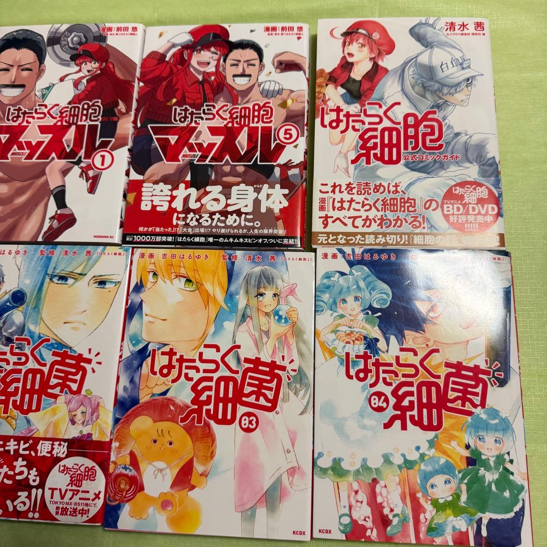 はたらく細胞 マッスル 小説 はたらく細菌 公式ファンブック 漫画 清水