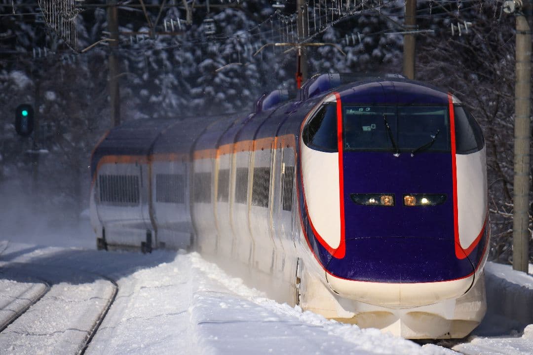 【作例あり】SIGMA 60-600mm F4.5-6.3 DG OS HSM