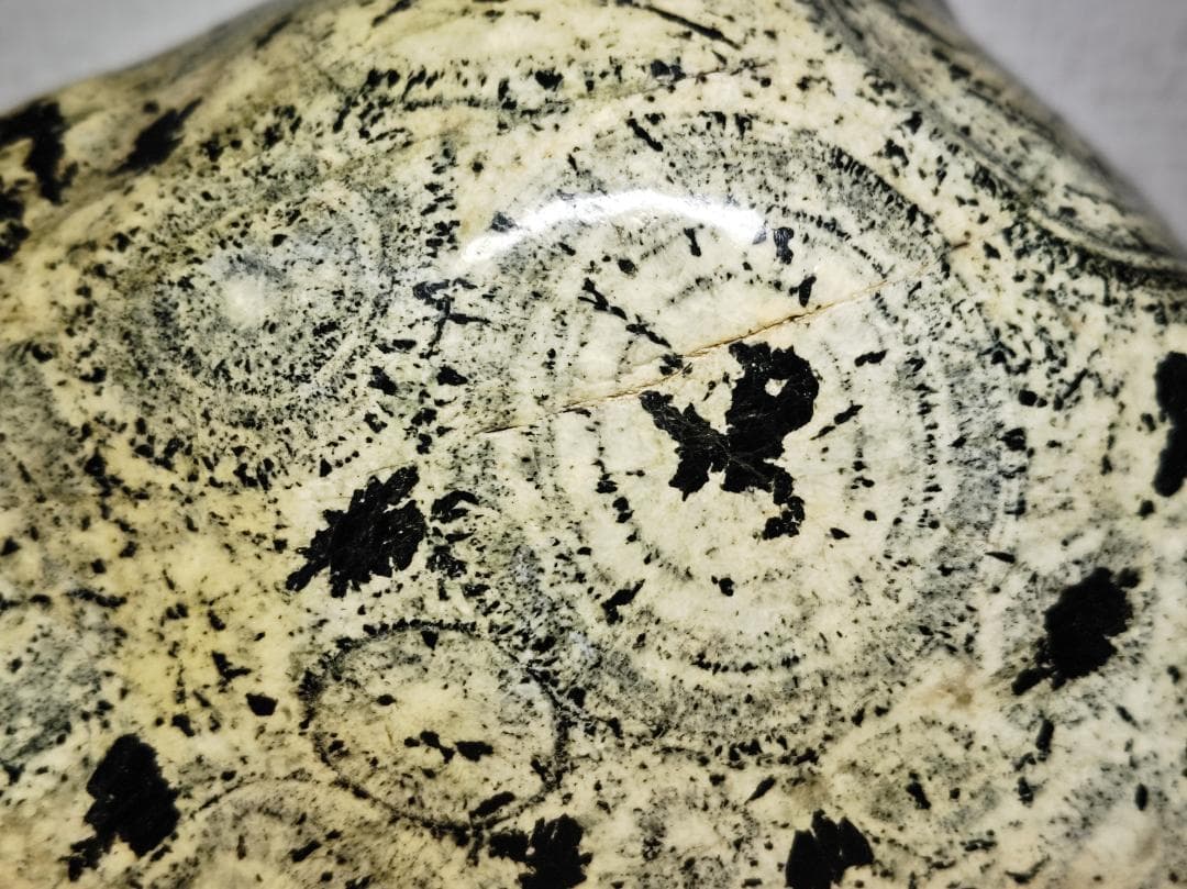 ナポレオン石 13kg 時計石 球状閃緑岩 原石 鑑賞石 自然石 紋石 水石