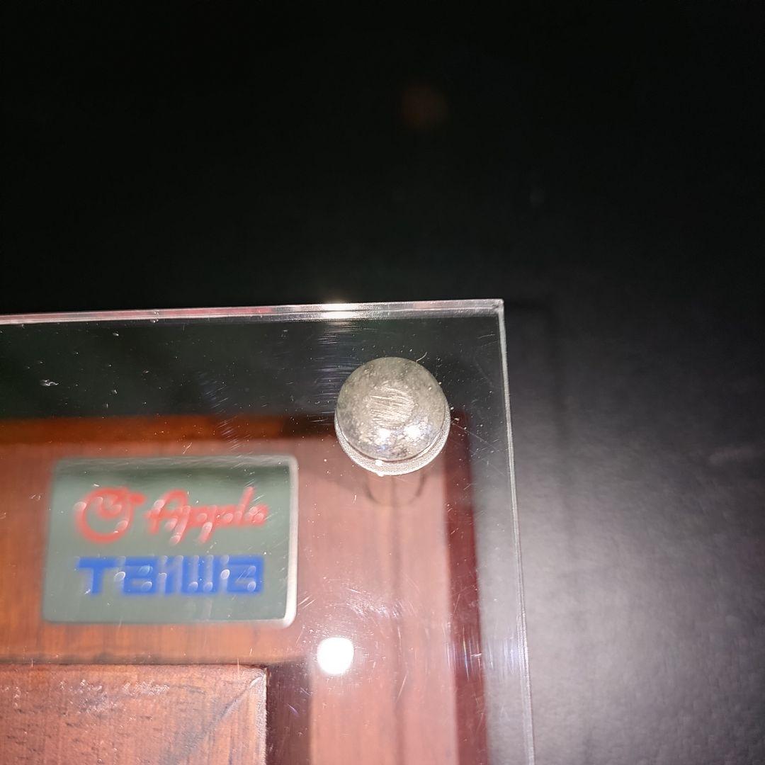 DEEP IMPACT 三冠馬記念蹄鉄 TAIWA製 - メルカリ