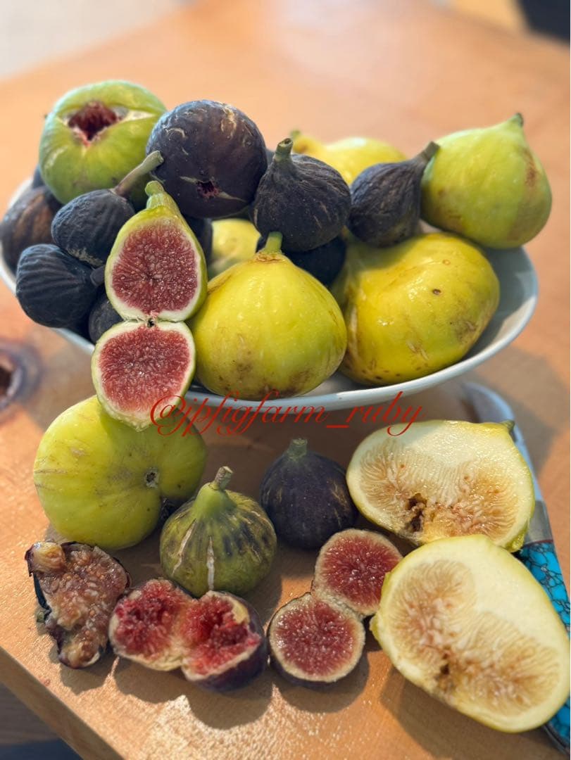 れい レグノ（ブリヂストン） 2025年製 REGNO GR-XIII TYPE RV 195/65R15