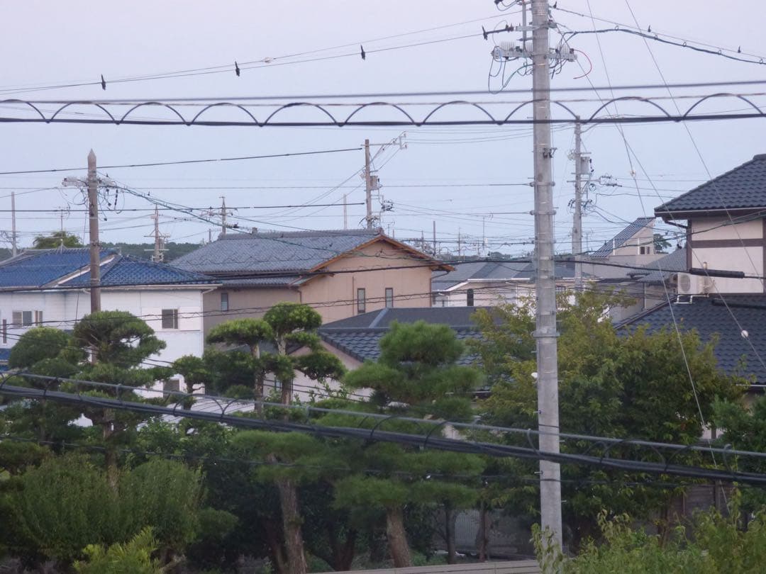 《極美品》Panasonic LUMIX DMC-FZ70 付属品完備