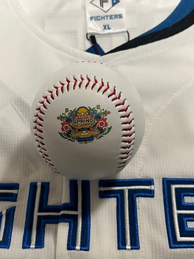 日本ハムファイターズ 達孝太 直筆サインボール 2026 沖縄キャンプ球