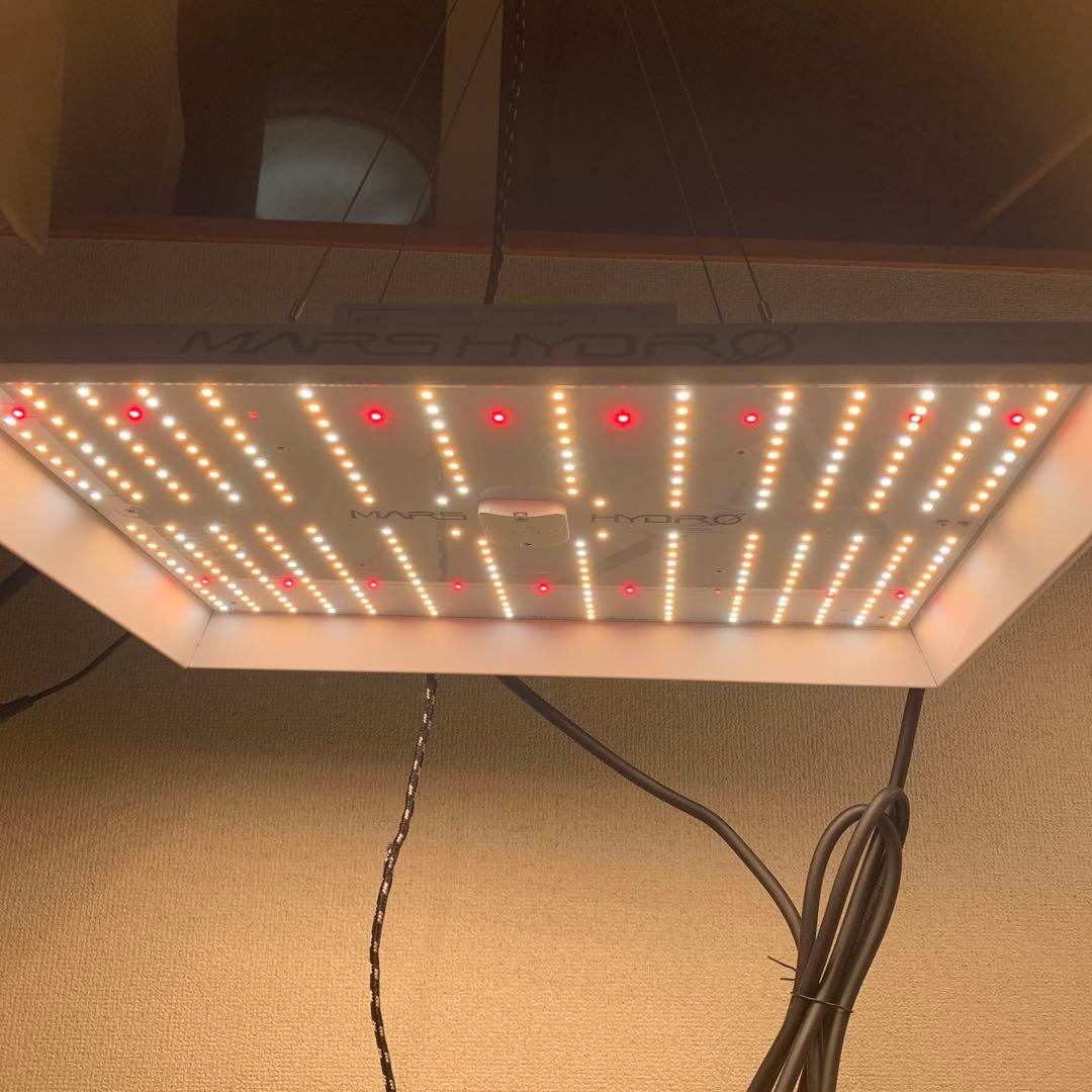 ガーデニングウェア Mars Hydro TS1000 Amazon.com : MARS HYDRO TS1000 150W LED Grow Light for Indoor