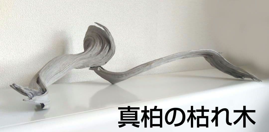 ★大幅値下げしました★真柏の枯れ木(カレボク) 盆栽の枯れ木④　神 ☆大幅値下げしました☆真柏の枯れ木(カレボク) 盆栽の枯れ木④ 神