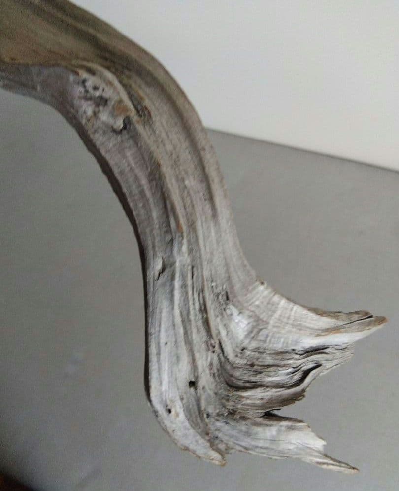 ☆大幅値下げしました☆真柏の枯れ木(カレボク) 盆栽の枯れ木④ 神