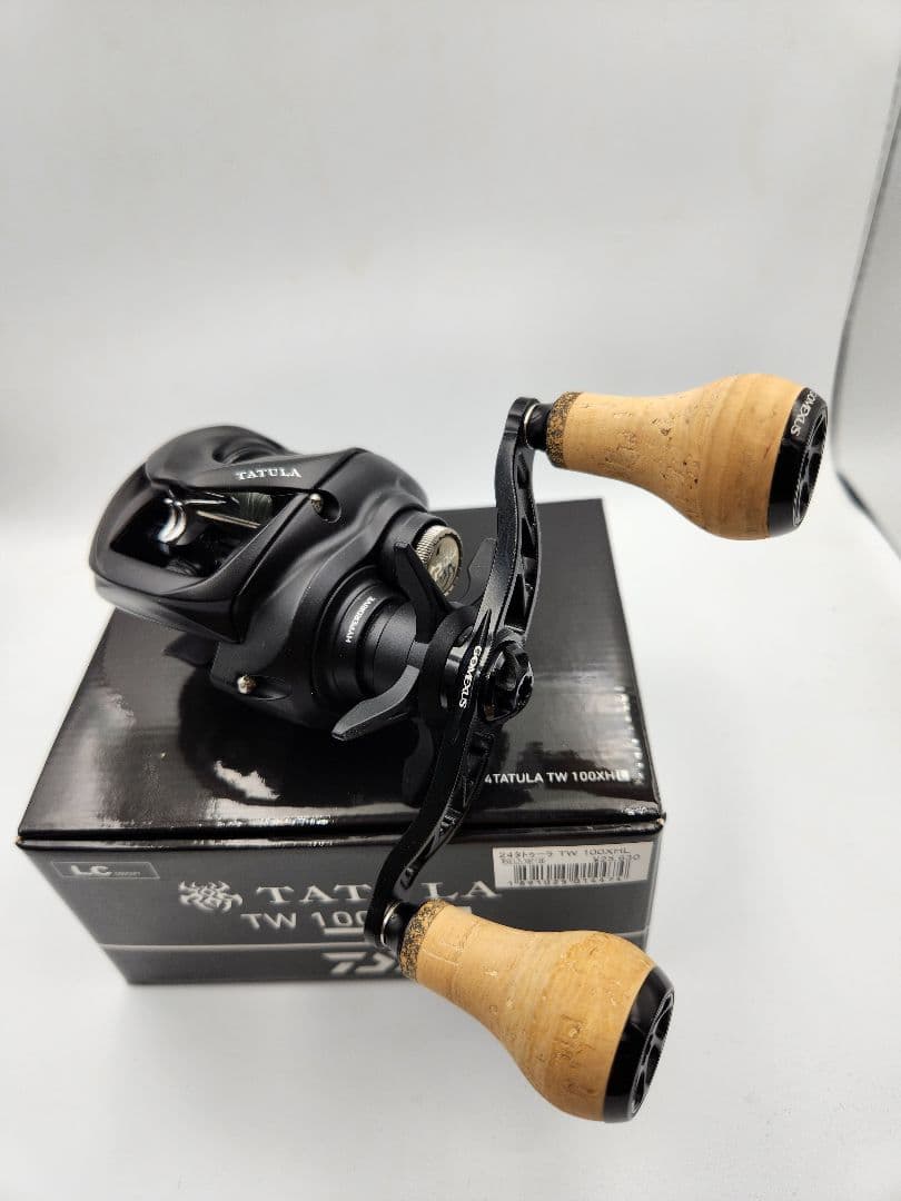 ダイワ 24タトゥーラTW100XH カスタム品L - メルカリ