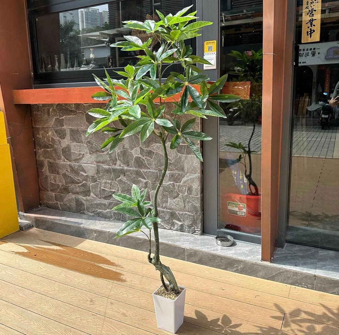 Yuwinron人工観葉植物フェイクグリーン パキラインドアホーム