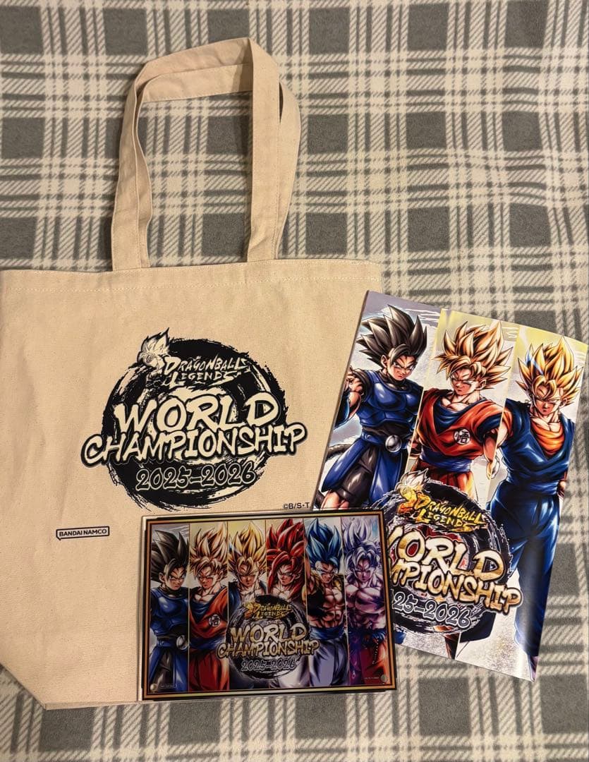 ドラゴンボールレジェンズ ワールドチャンピオンシップ（WCS） 来場者