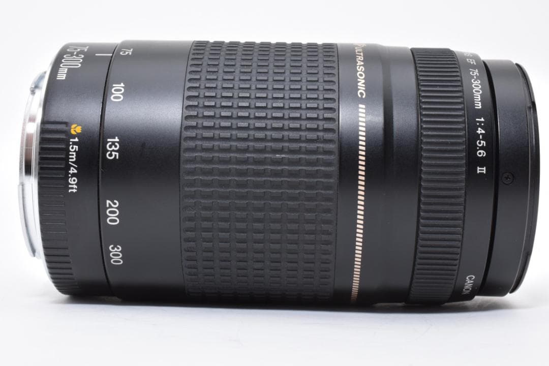 Canon EF 75-300mm F/4-5.6 Ⅱ USM