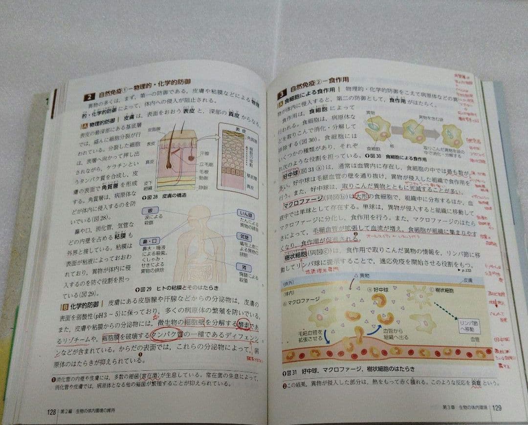 数研出版 高校教科書 改訂版生物基礎 大学受験参考書 美品 激安 即日