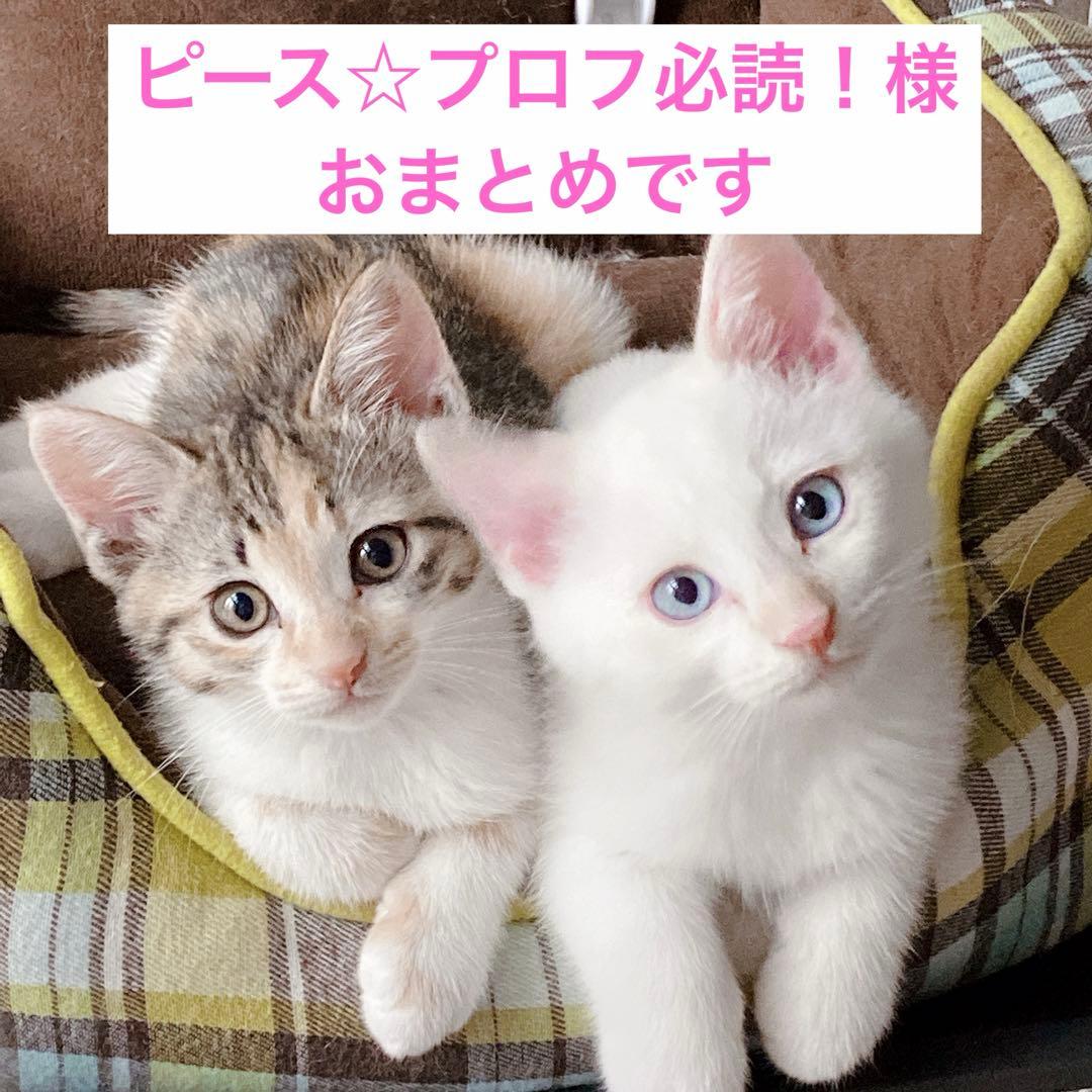 ピース☆プロフ必読！様 リクエスト 2点 まとめ商品 - メルカリ