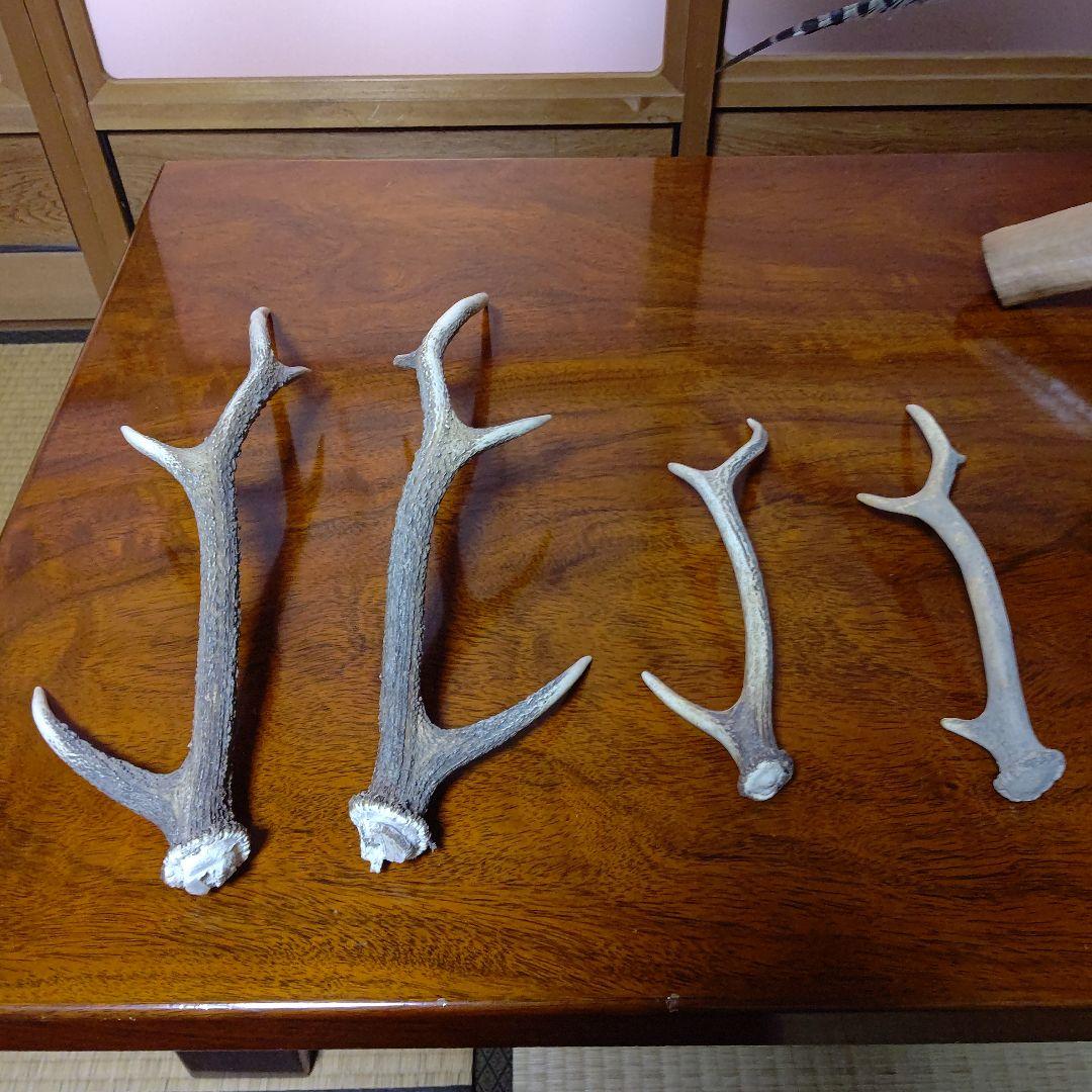 ‼️本物剥製‼️ 日本のキジ‼️プロが剥製‼️オマケ付き(o^－^o)