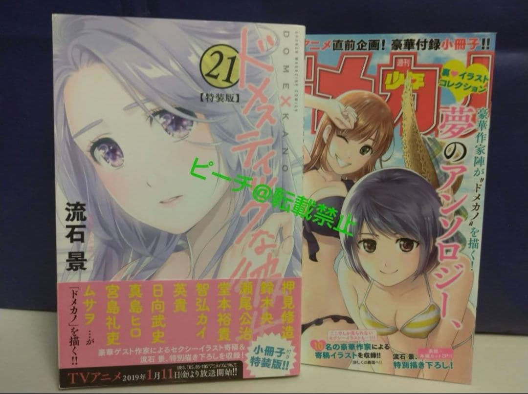 ドメスティックな彼女 21巻 特装版 - メルカリ