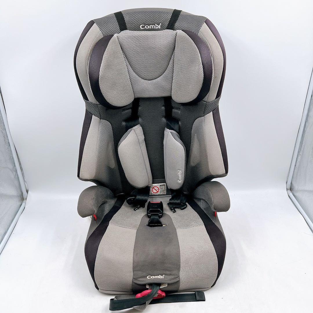 エレガンテシマ葉色の変化 春は黄金色→夏は黄緑色→冬は赤茶色 円錐形