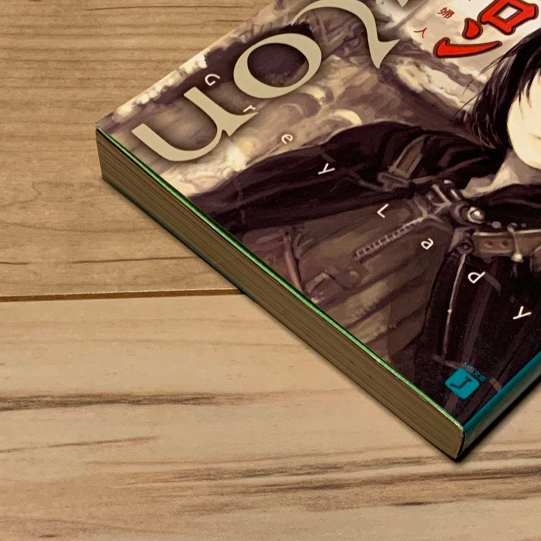 初版 押井守 アヴァロン Avalon 灰色の貴婦人 mamoru oshii - メルカリ