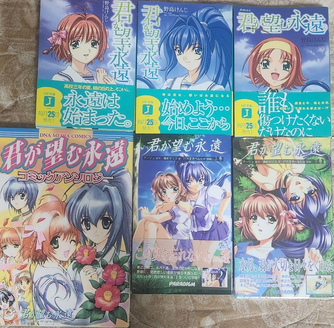 限定 君が望む永遠 age メモリアルアートブック 本 小説 ファイル