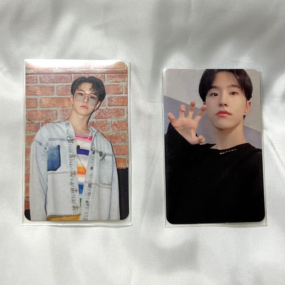 セミコロン中国ヨントンホシトレカ