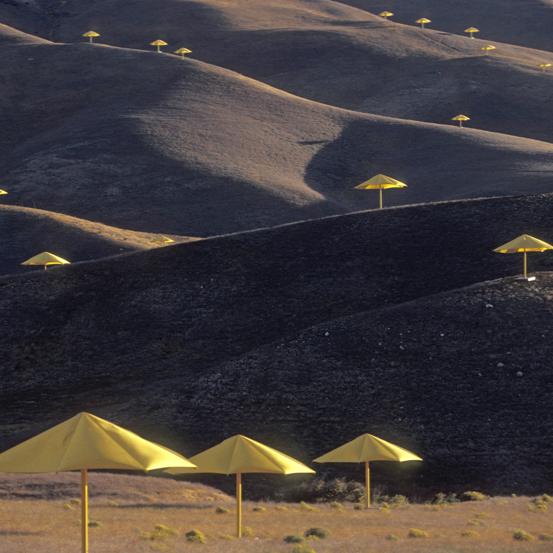 Opinion | Christo's Umbrellas Took Over My First Months in New