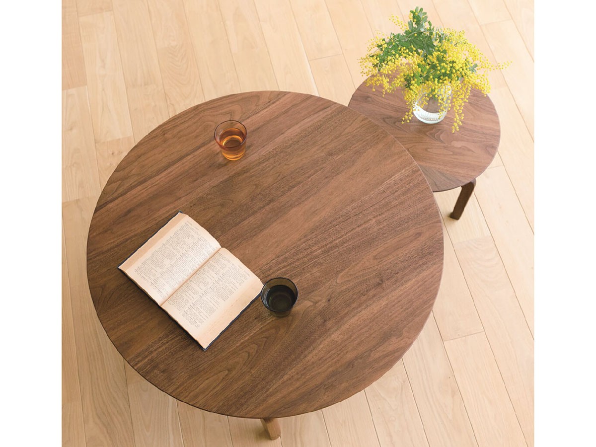 FLYMEe Vert LISCIO CIRCLE LOW TABLE / フライミーヴェール リッショ