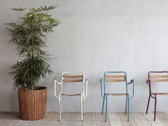 Knot antiques SUN PLANTERφ50 / ノットアンティークス サン