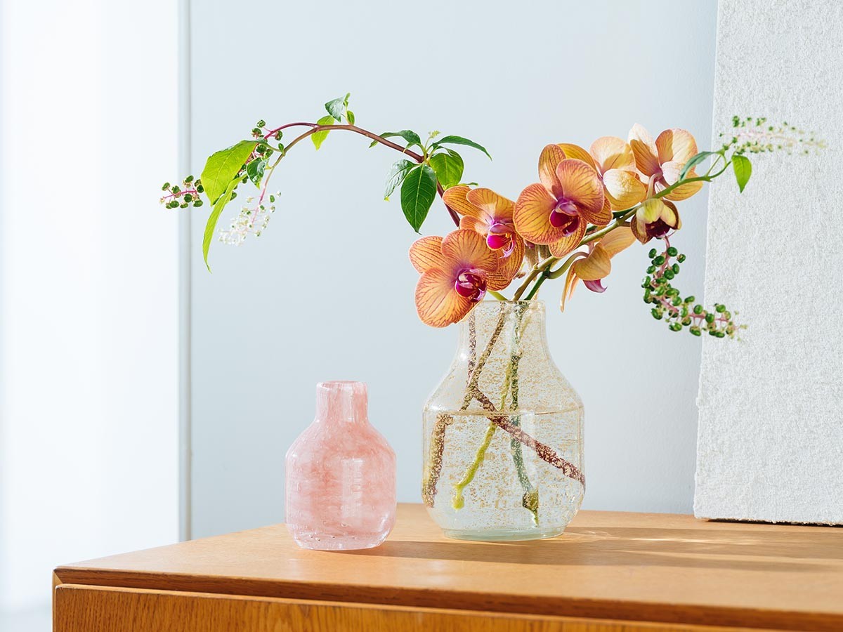 Henry Dean V.Barbat S / ヘンリーディーン V.バルバット S（コルゾ