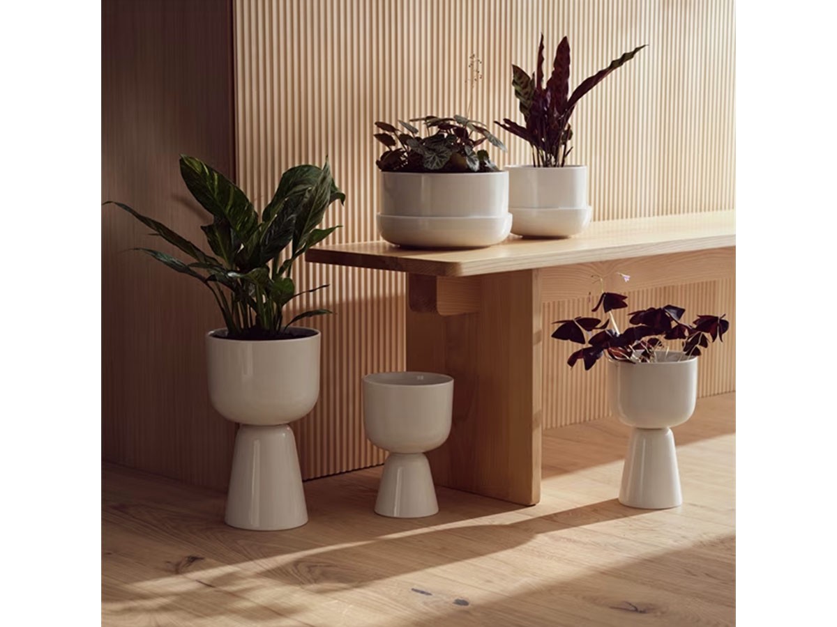 iittala Nappula Plant Pot / イッタラ ナップラ プラントポット 230