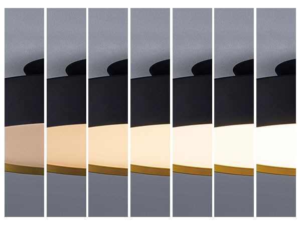 FLYMEe Noir LED Floor Lamp / フライミーノワール LED フロアランプ