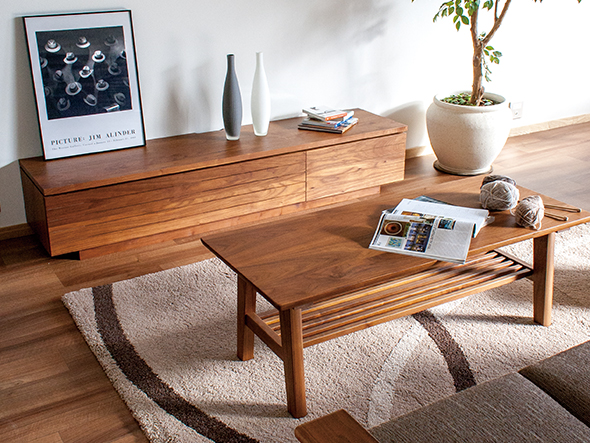 NAGANO INTERIOR REAL TV board / ナガノインテリア リアル TVボード