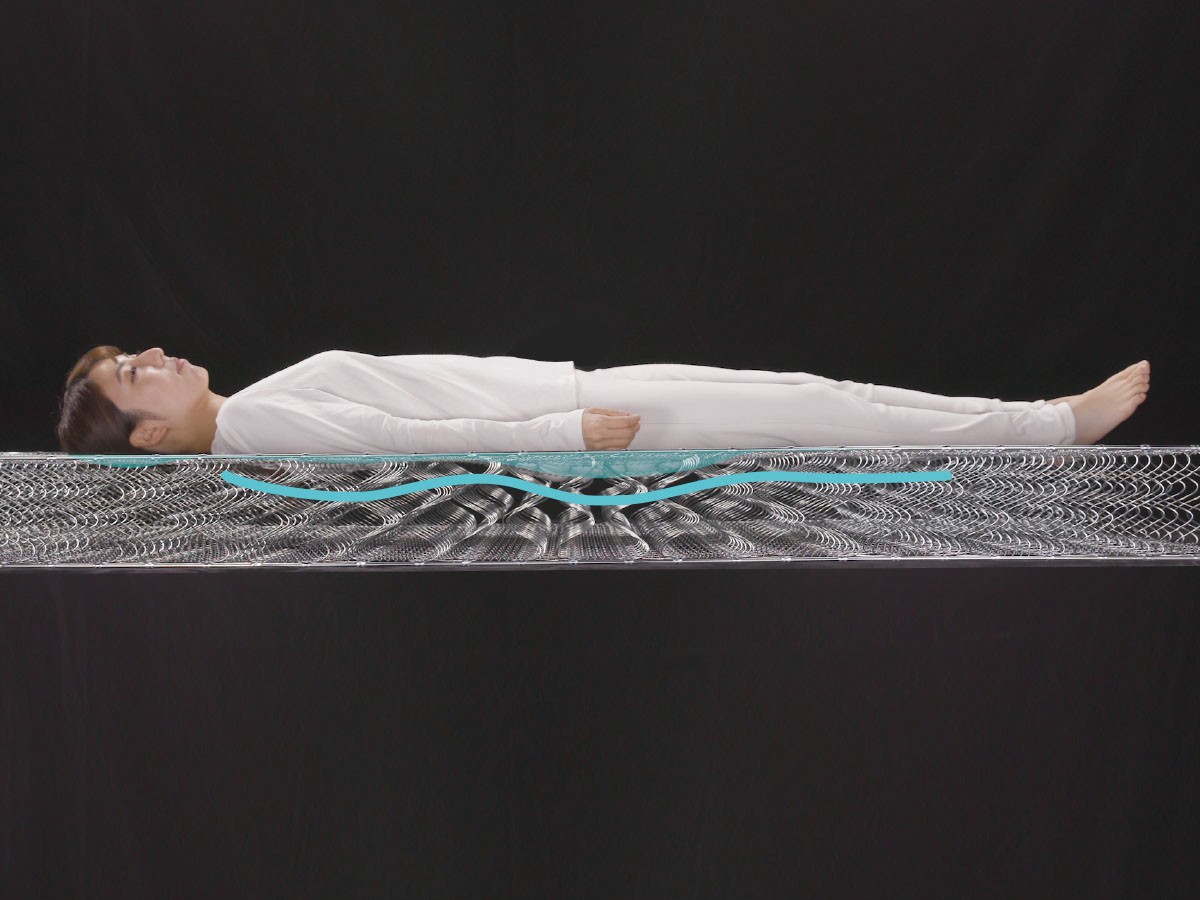 FRANCE BED Life Treatment Mattress LT-9900 PW MON / フランスベッド