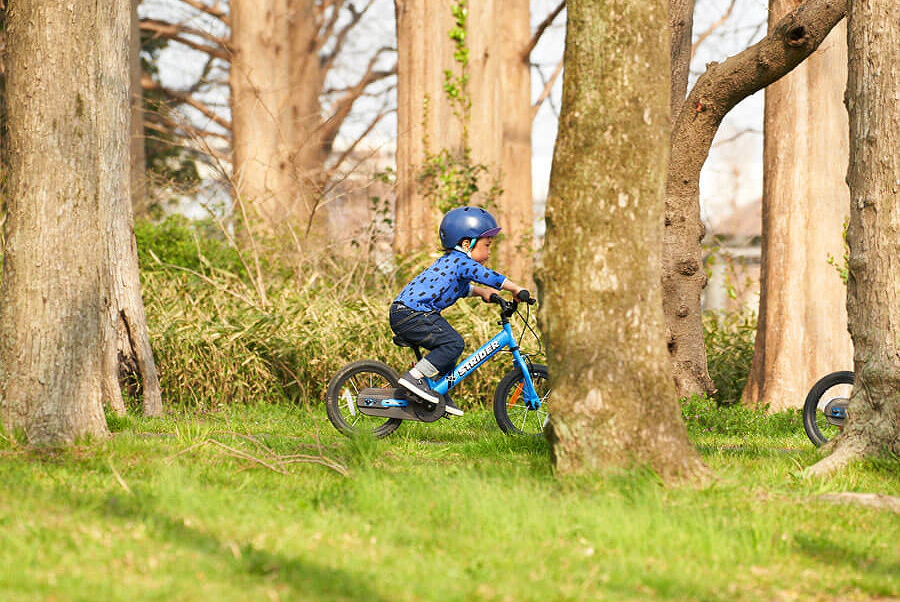 取り扱い店舗 – strider