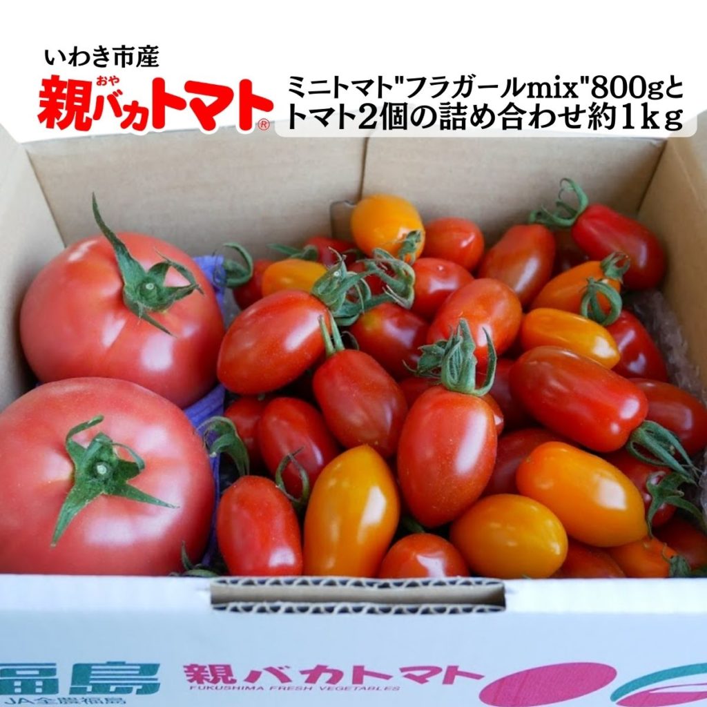 フラガールミックスとトマト2個の1㎏箱 税込1480円 | 親バカトマト