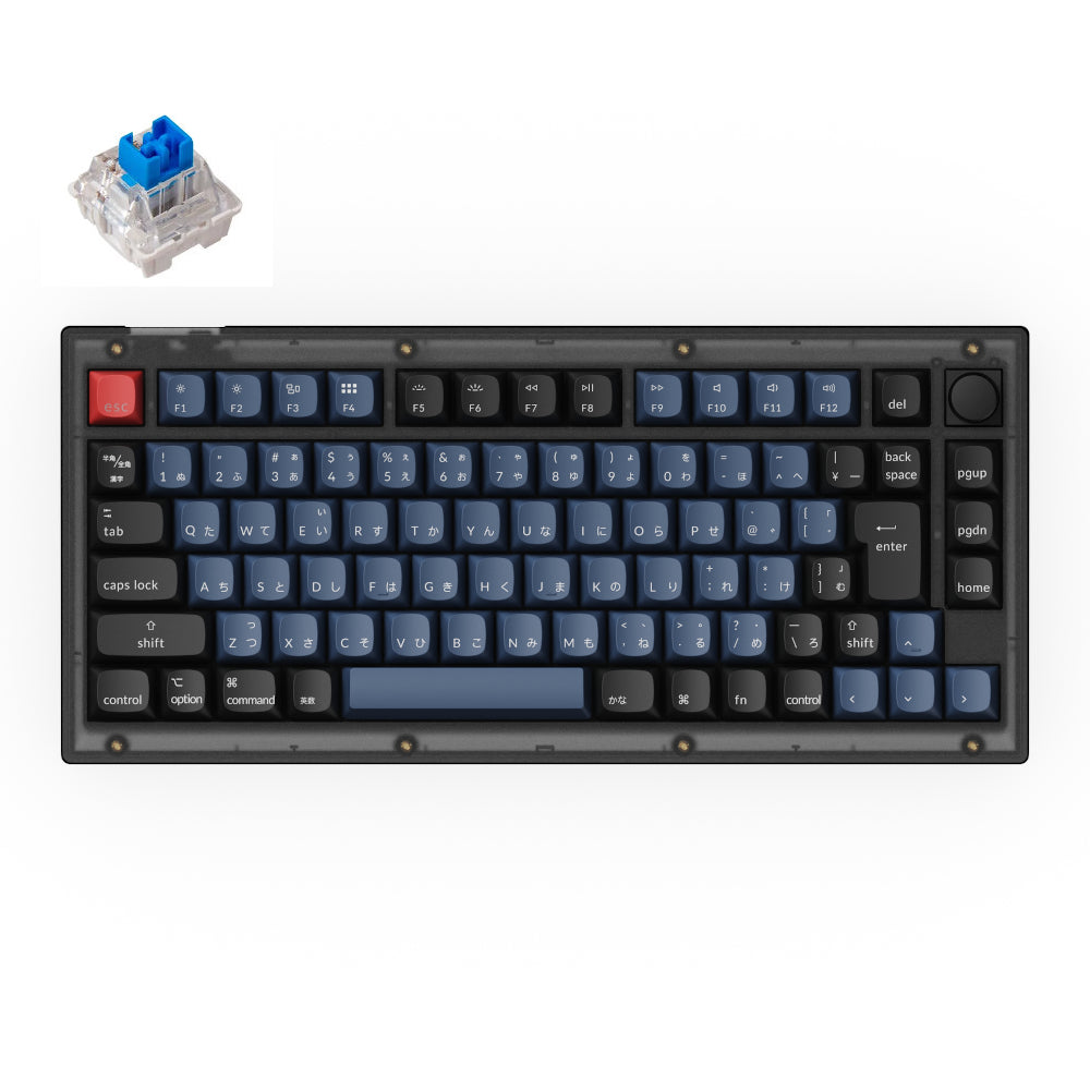 4895248834021_1000x1000.jpg?v=