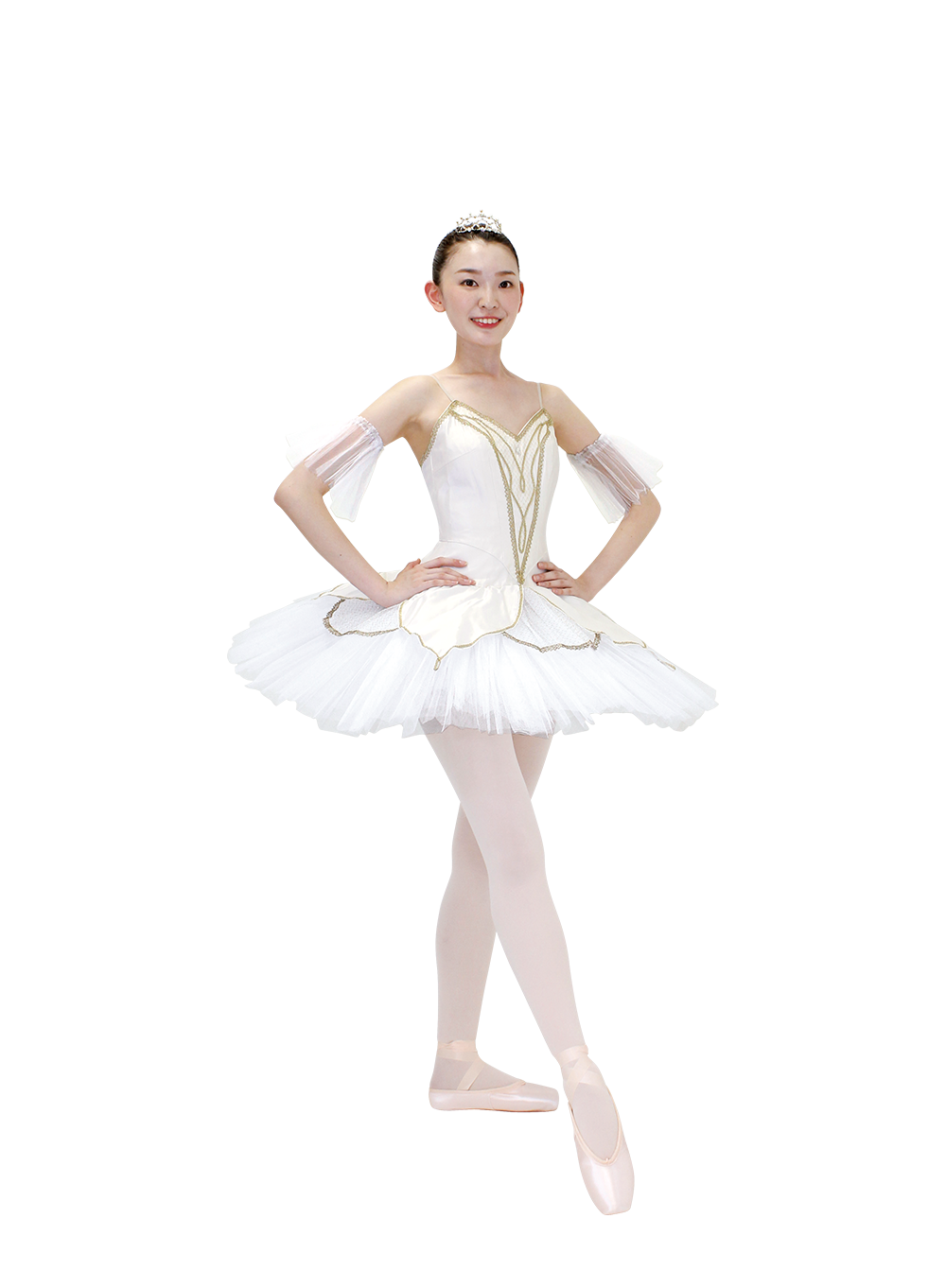 シルビアコスチュームコレクション（パターンオーダーコスチューム